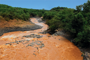 I Stock 36737556 Alberto Loyo Sm