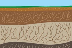Soil Illus Deja Sm Soil Illus Deja Sm