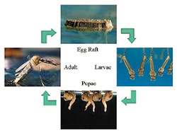 Sw0203 25 21 Sw0203 25 21