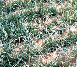 Ec0209 391 Ec0209 391