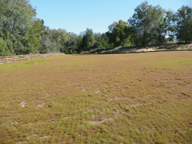 Ferndale Preserve Gets a Permeable Parking Lot Stormwater Solutions