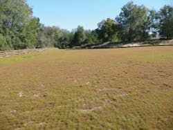 Sw0809 146 270 Sw0809 146 270