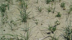 Ec0901 30b 270 Ec0901 30b 270