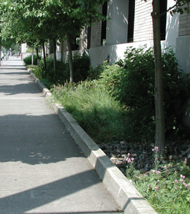 Asset Upload File815 51804