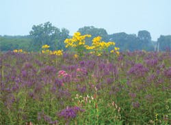 Ec0903 28a 270 Ec0903 28a 270