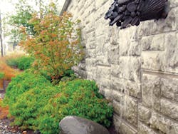 Asset Upload File343 53021 Asset Upload File343 53021