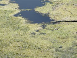 Asset Upload File966 56591 Asset Upload File966 56591