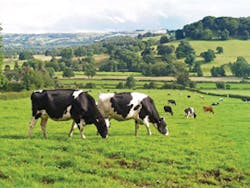 Asset Upload File423 59868 Asset Upload File423 59868