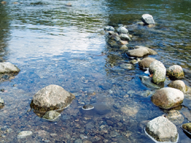 Asset Upload File630 63236