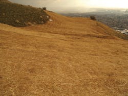 Ec1001 26 Lead Ec1001 26 Lead