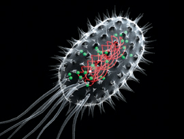 Asset Upload File131 69290