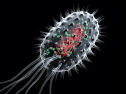 Asset Upload File131 69290 Asset Upload File131 69290