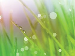 Asset Upload File459 69287 Asset Upload File459 69287