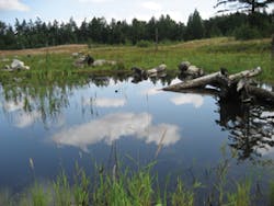 Ec1007 26 Lead Ec1007 26 Lead