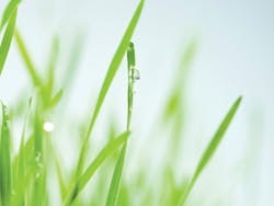 Ec1011 26 Lead Ec1011 26 Lead