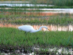 Asset Upload File938 74518 Asset Upload File938 74518