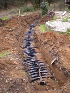 We1011 47 225x300 We1011 47 225x300