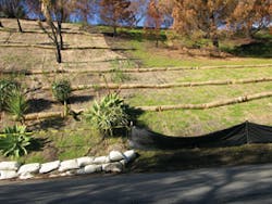 Ec1006 34 Lead Ec1006 34 Lead