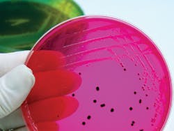 Ec1106 54 Lead Ec1106 54 Lead