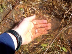 Ec1107 57 Lead Ec1107 57 Lead