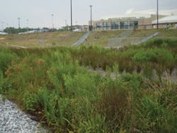 Easset Upload File54 67683 E Easset Upload File54 67683 E