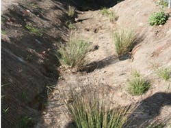 Asset Upload File653 86274 Asset Upload File653 86274