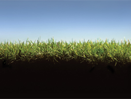 Asset Upload File498 87446