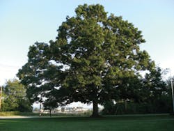 Sw1201 8 1 Sw1201 8 1