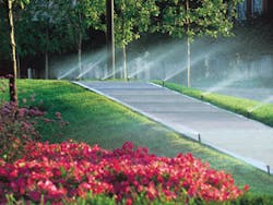 We1203 16 Lead1 We1203 16 Lead1