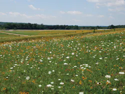 Ec1205 20 Lead Ec1205 20 Lead