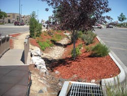 Sw1203 12 Lead Sw1203 12 Lead