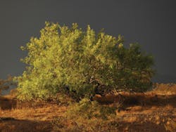 We1206 111 We1206 111