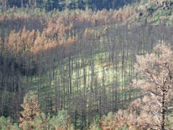 Ec1209 30 2 Ec1209 30 2