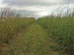 Gx1211 18 2 Gx1211 18 2