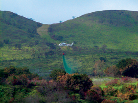 Ec1303 32