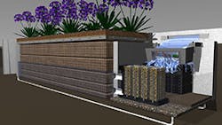 Mod Wet Showcase Mod Wet Showcase