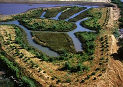 Major Bay Delta Small Major Bay Delta Small