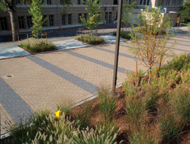 Uni Group Schoolof Mines22