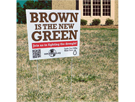 Brownisthe New Green72514 Copy