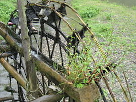 Miao Irrigation System