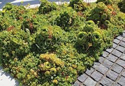 We1411 32 1 We1411 32 1