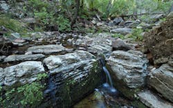 Workman Creek Workman Creek