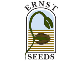 Ernst Conservation Seeds Stormwater Solutions