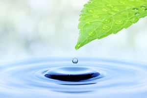 I Stock 000058662438 Xxx Large