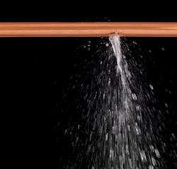 We1503 541 We1503 541