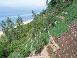 Ec1501 Streambank 13 E1426787406172 Ec1501 Streambank 13 E1426787406172