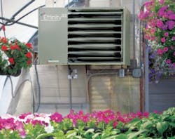 Effinity93 Greenhouse Edited 300x237 Effinity93 Greenhouse Edited 300x237