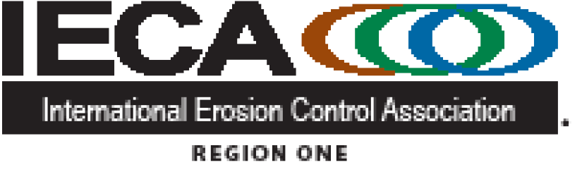 Region One Trademarked Logo