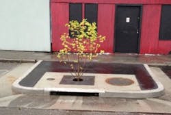 Sw1501 Seattle 03 300x201 Sw1501 Seattle 03 300x201