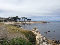 Sw1503 221 Sw1503 221